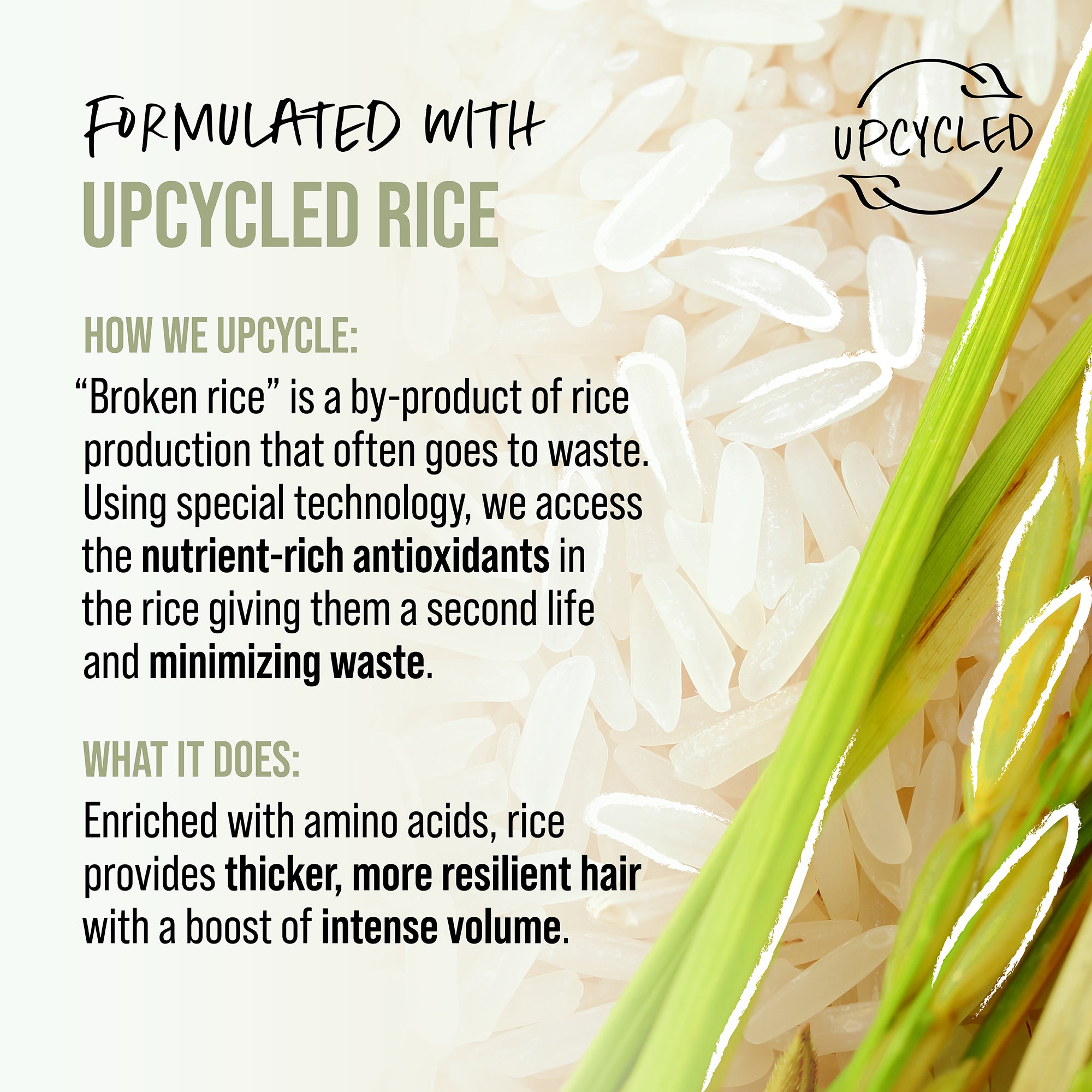 Upcycled rice with text explaining the process and benefits on a white background