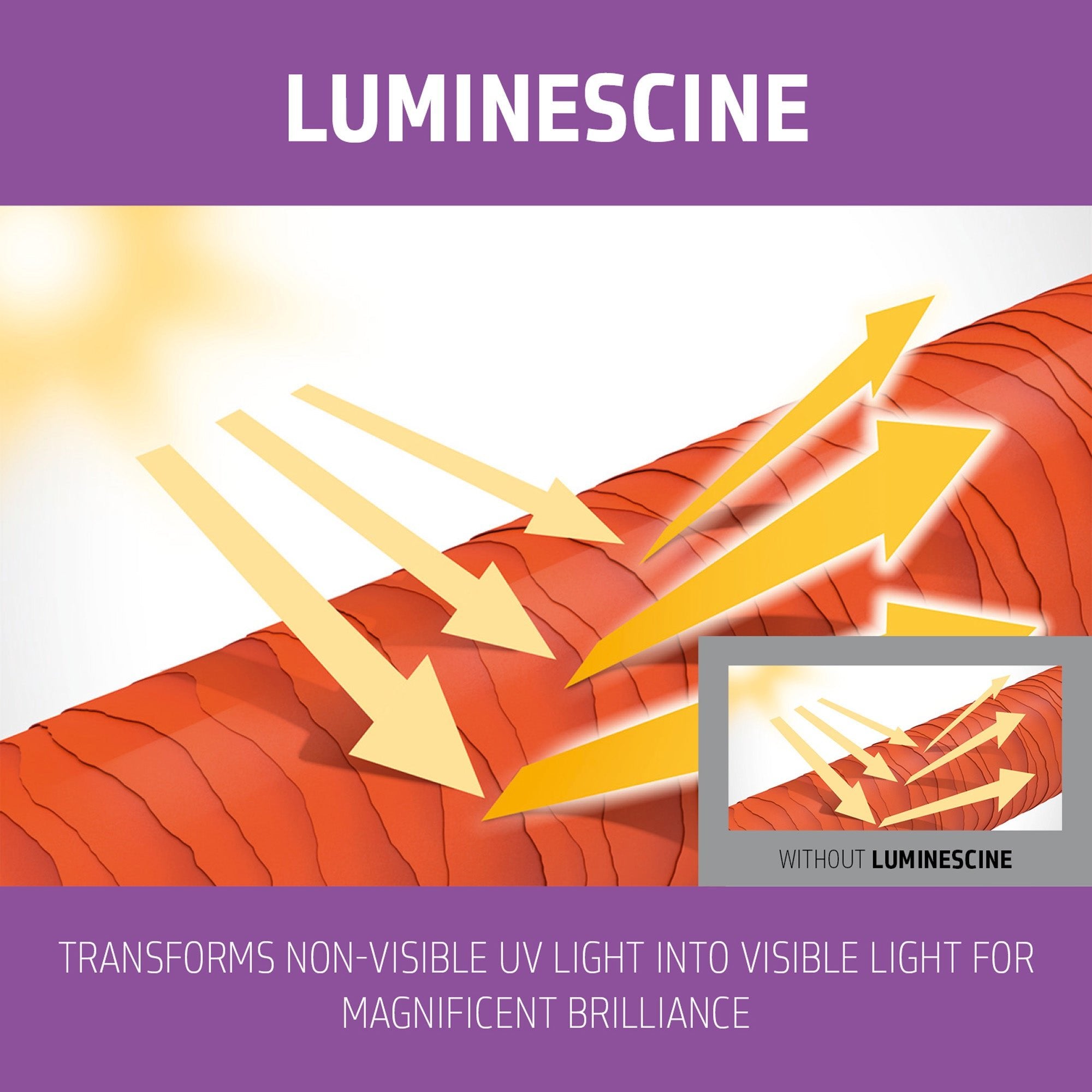 Blondes & Highlights Anti - Yellow Conditioner - Hair Care