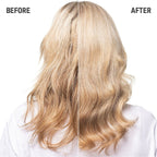 Blondes & Highlights Anti - Yellow Conditioner - Hair Care