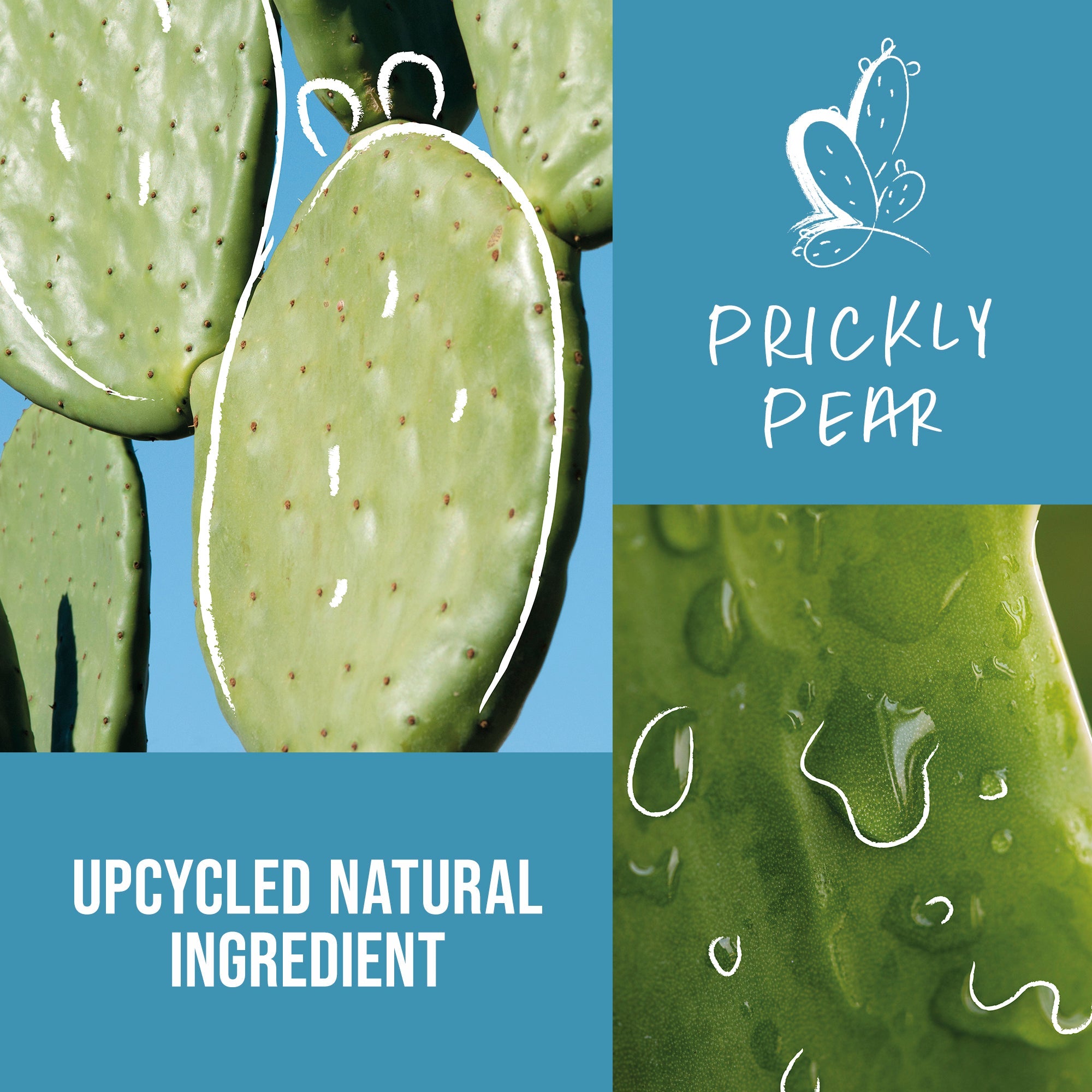 Cleansing Conditioner - Hair Care