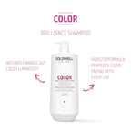 Color Brilliance Shampoo - Hair Care