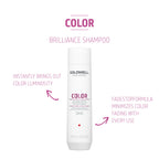 Color Brilliance Shampoo - Hair Care