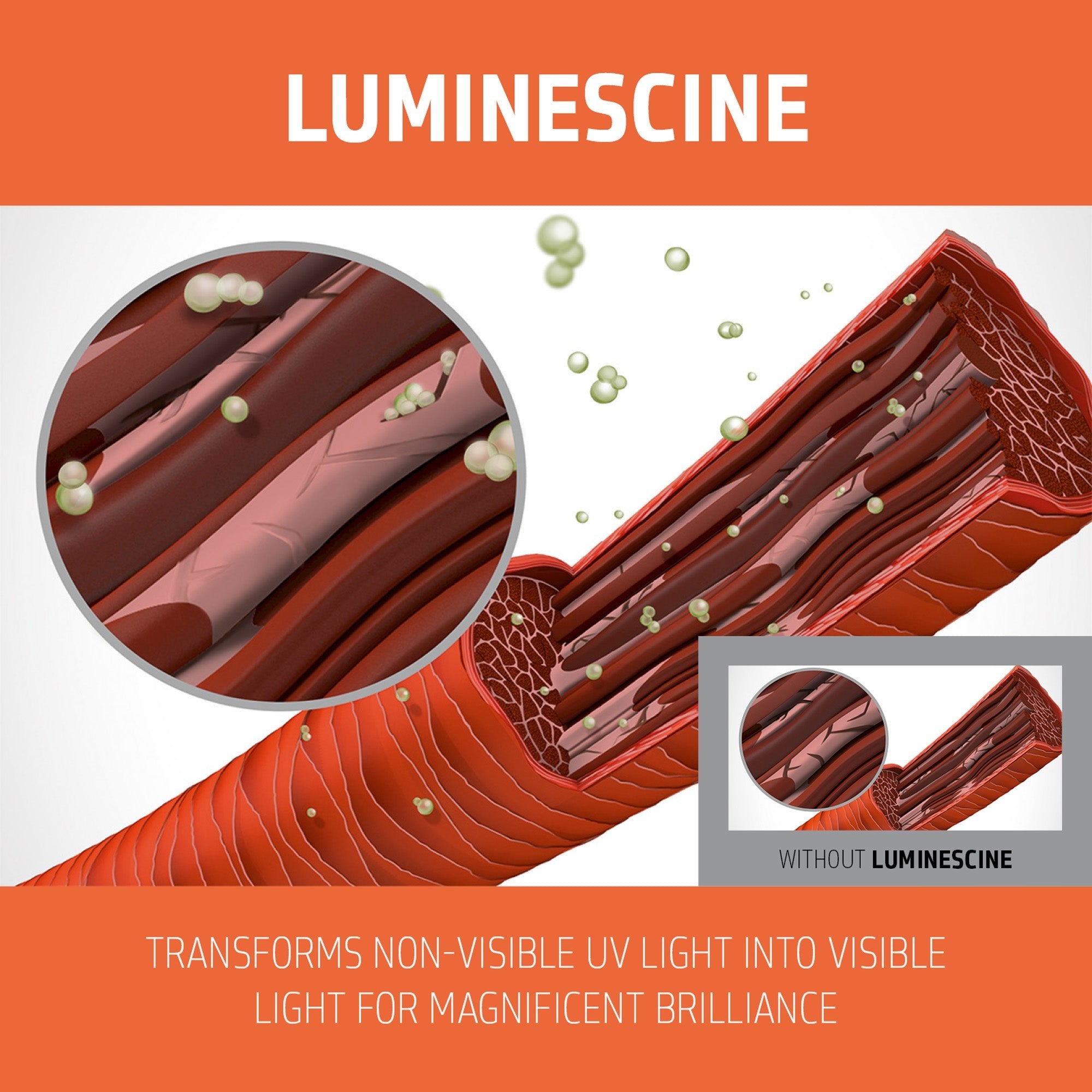 Color Revive Color Conditioner Neutral Brown - Hair Care