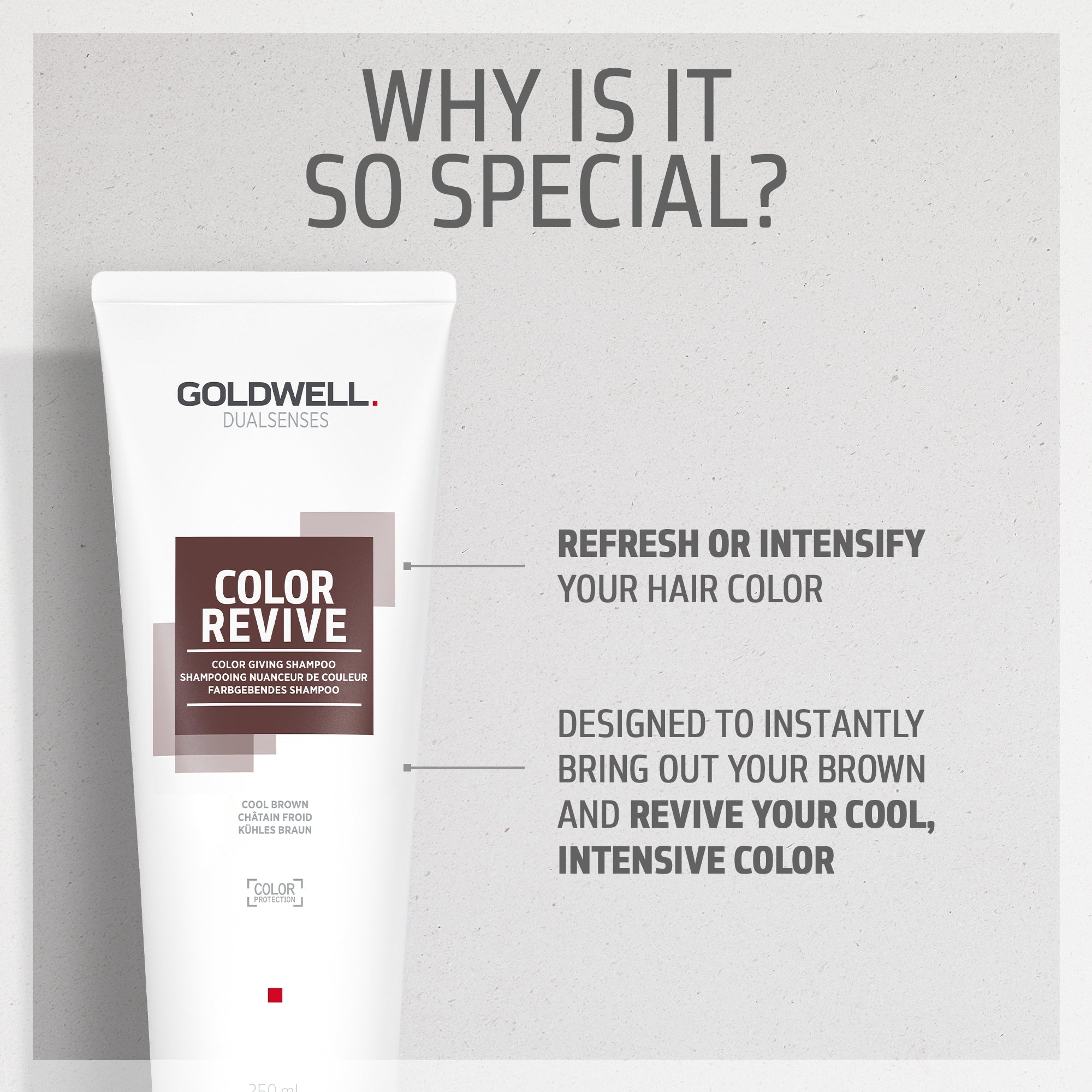 Color Revive Color Shampoo Cool Brown - Hair Care