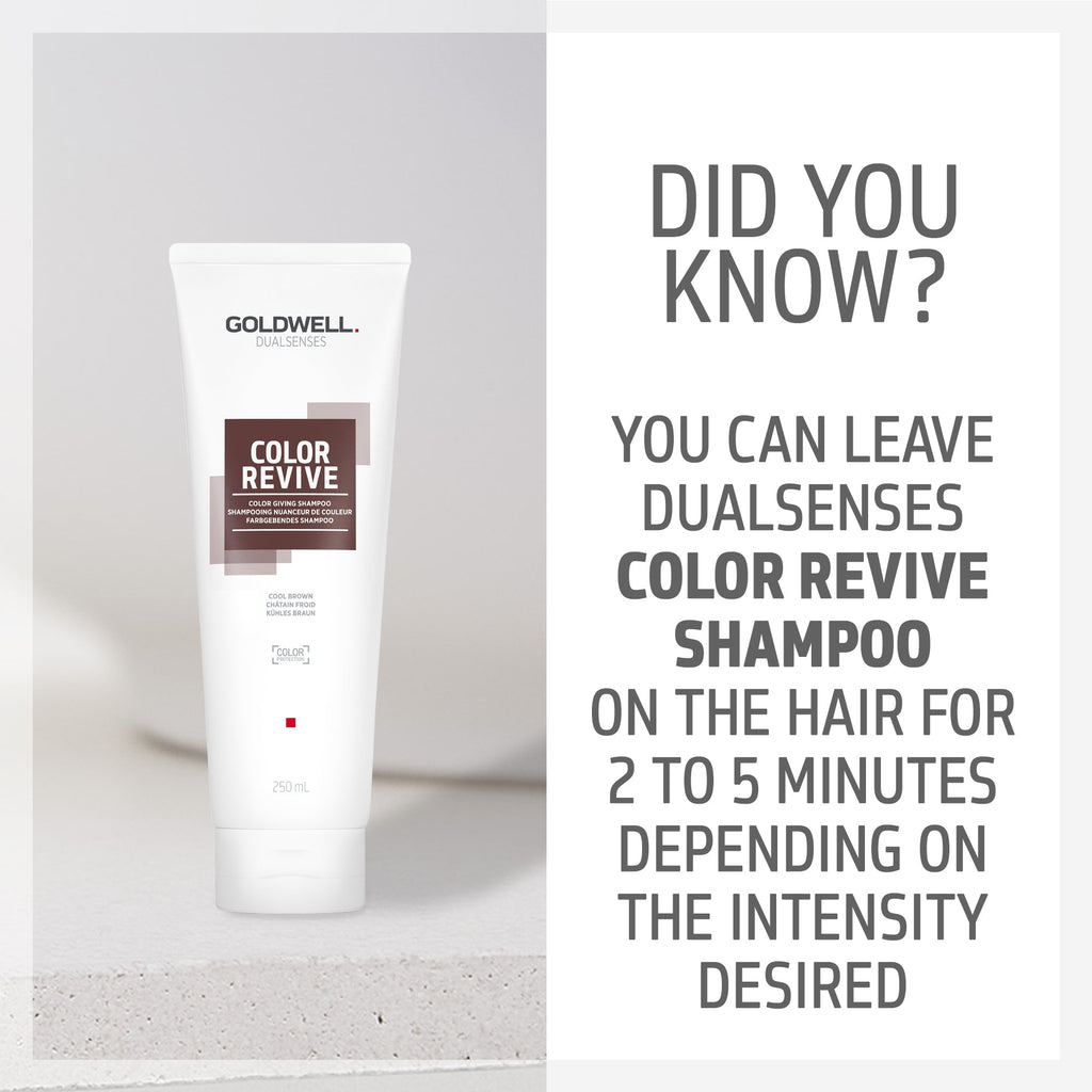 Color Revive Color Shampoo Cool Brown - Hair Care