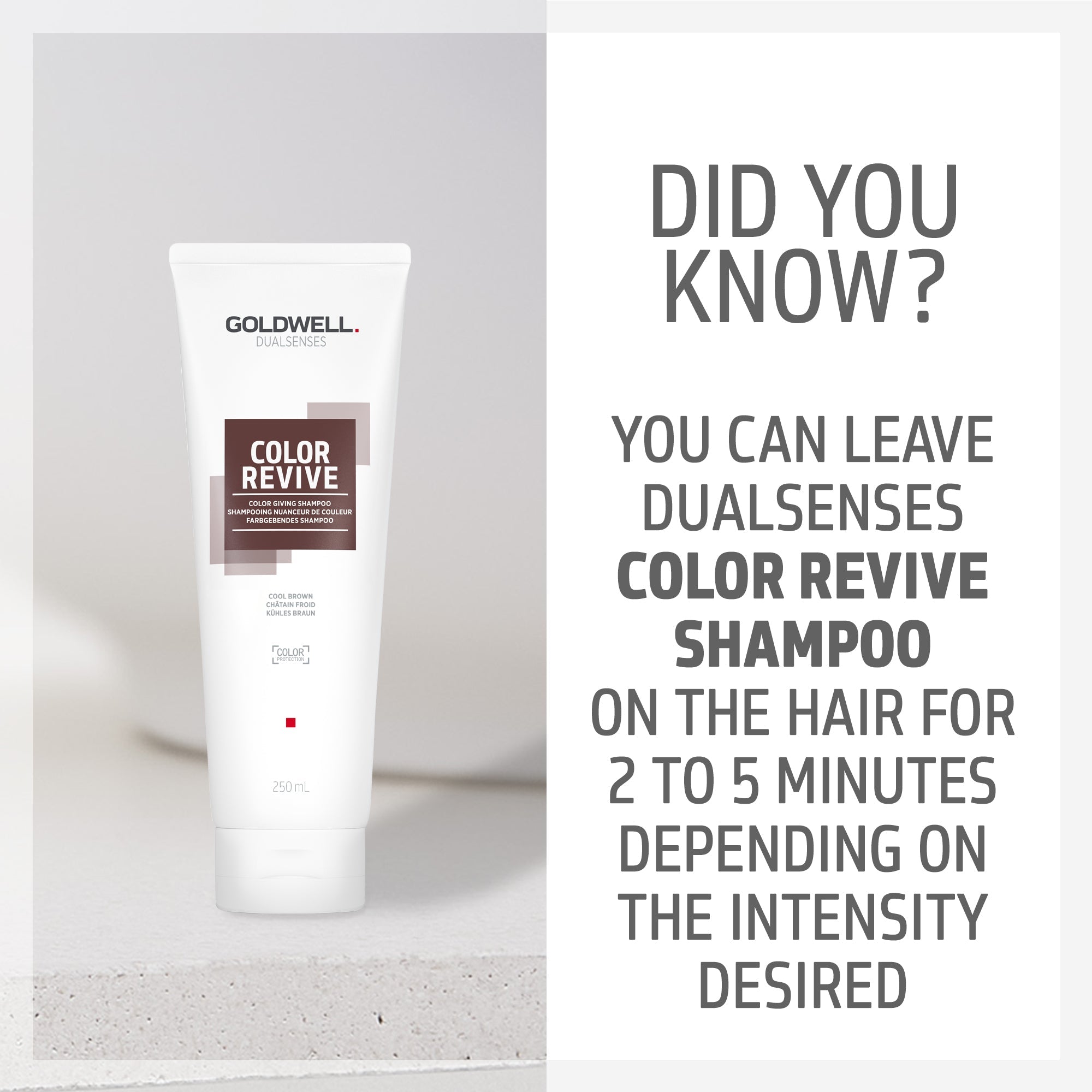 Color Revive Color Shampoo Cool Brown - Hair Care