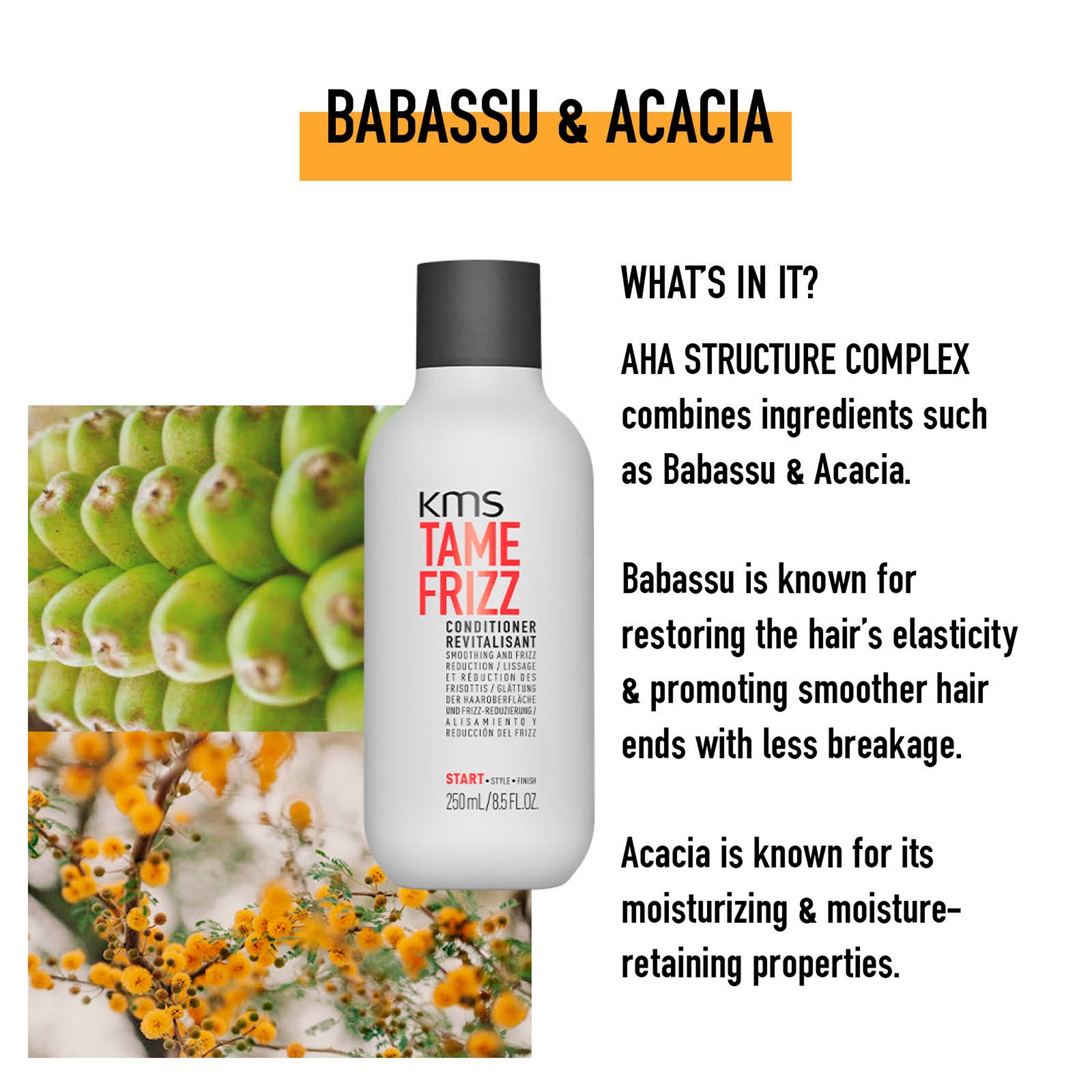 Frizz Control Smoothing System - Bundle