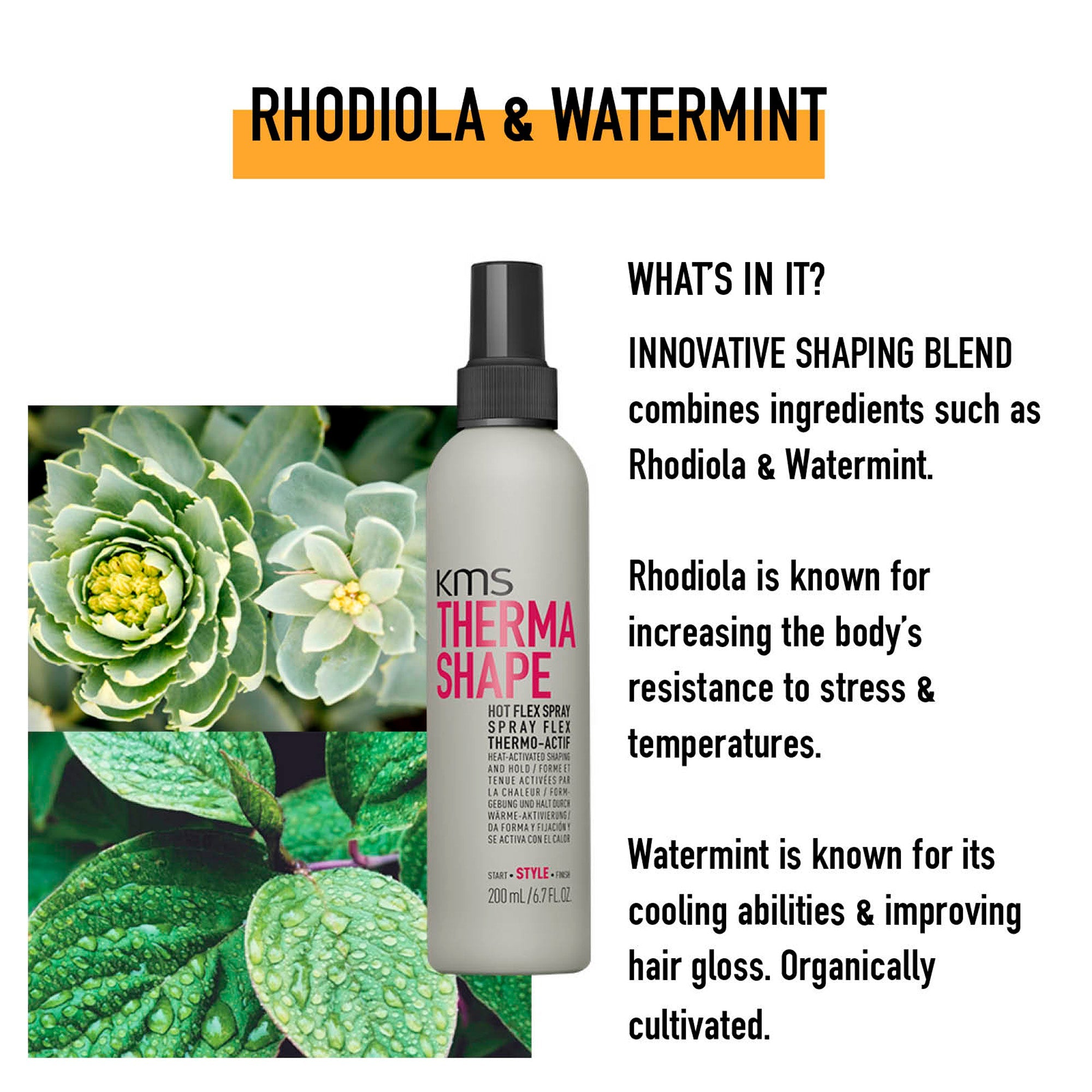 Hot Flex Spray - Hair Care