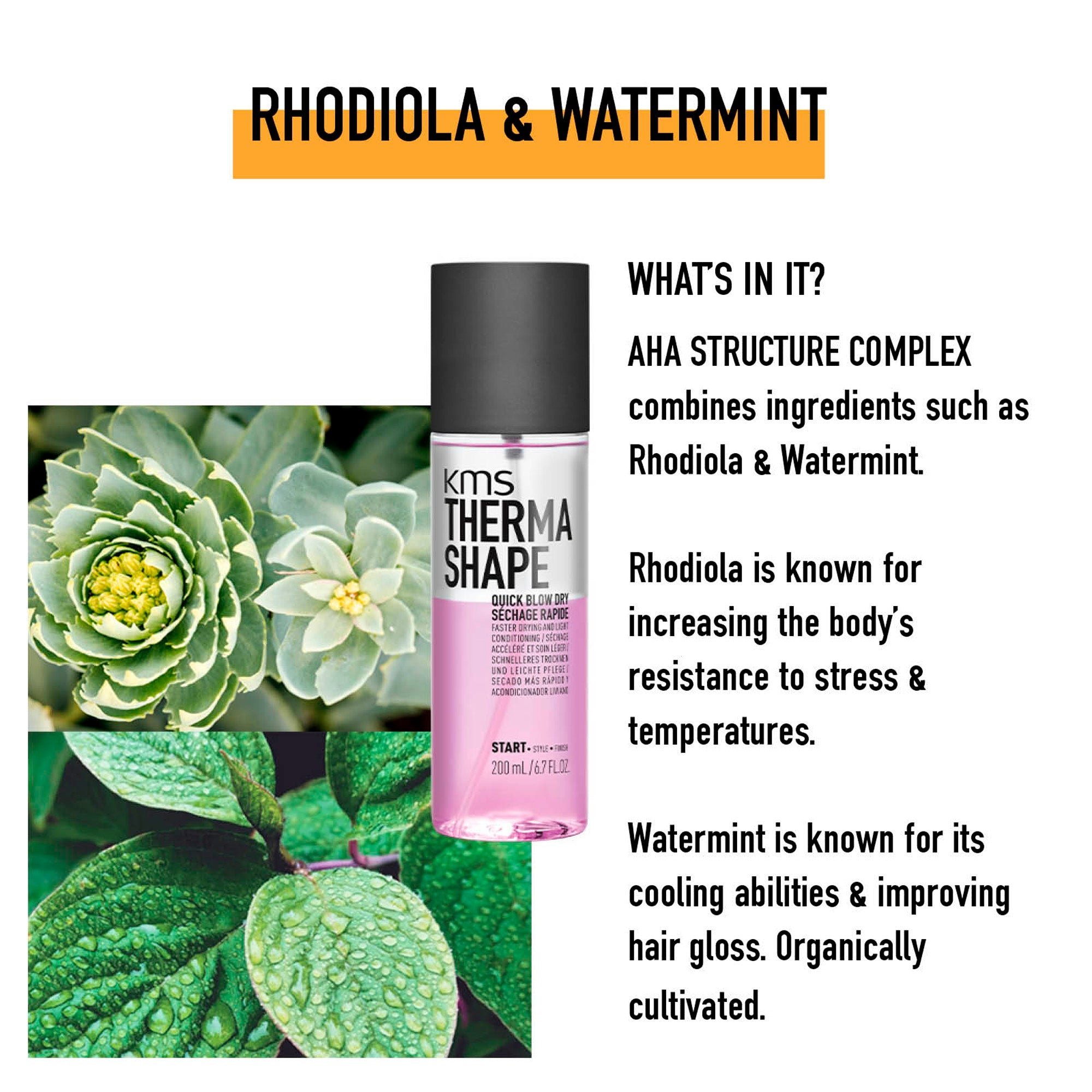 Quick Blow Dry - Hair Care