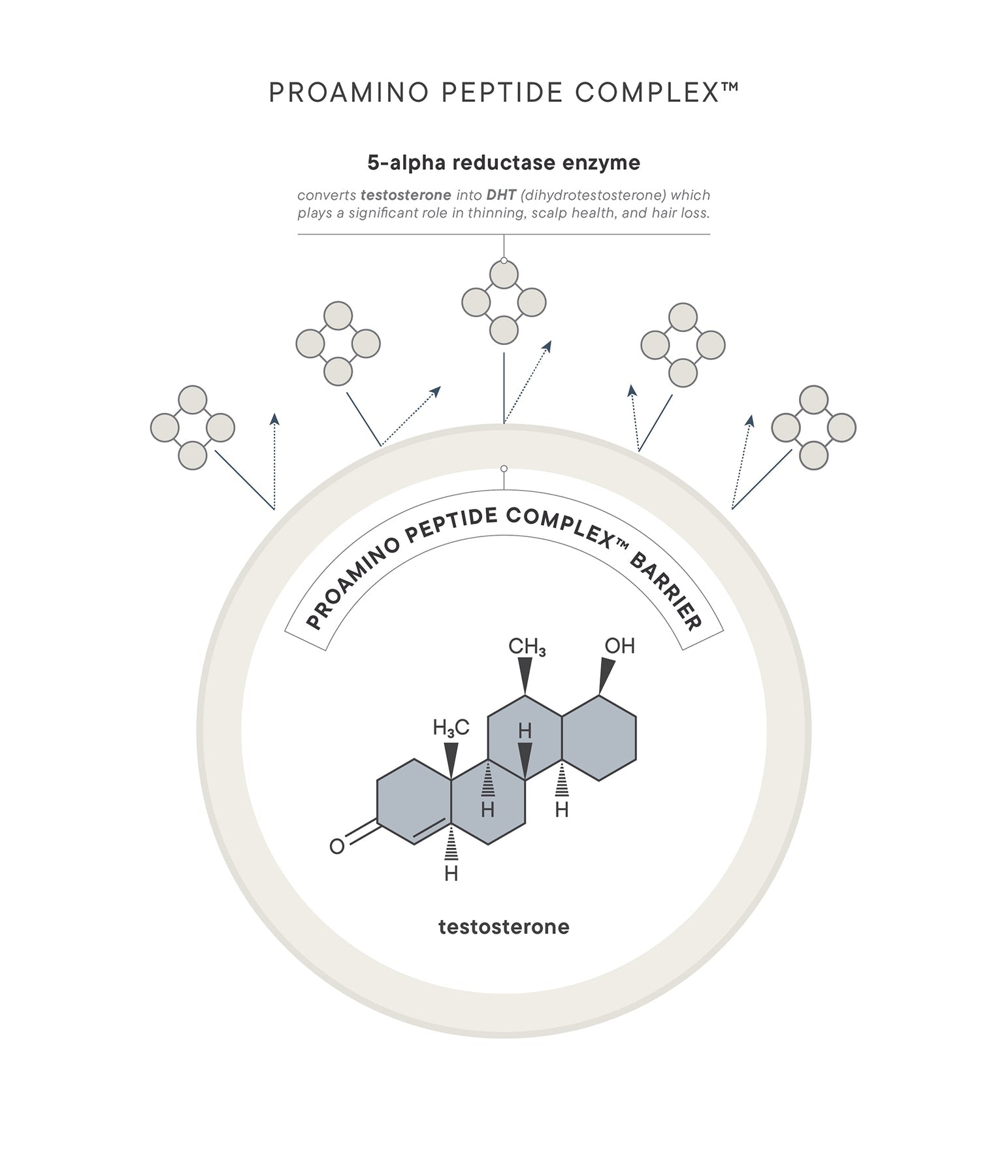 Scalptherapy Thickening Ritual - Hair Care