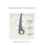 Scalptherapy Thickening Ritual - Hair Care