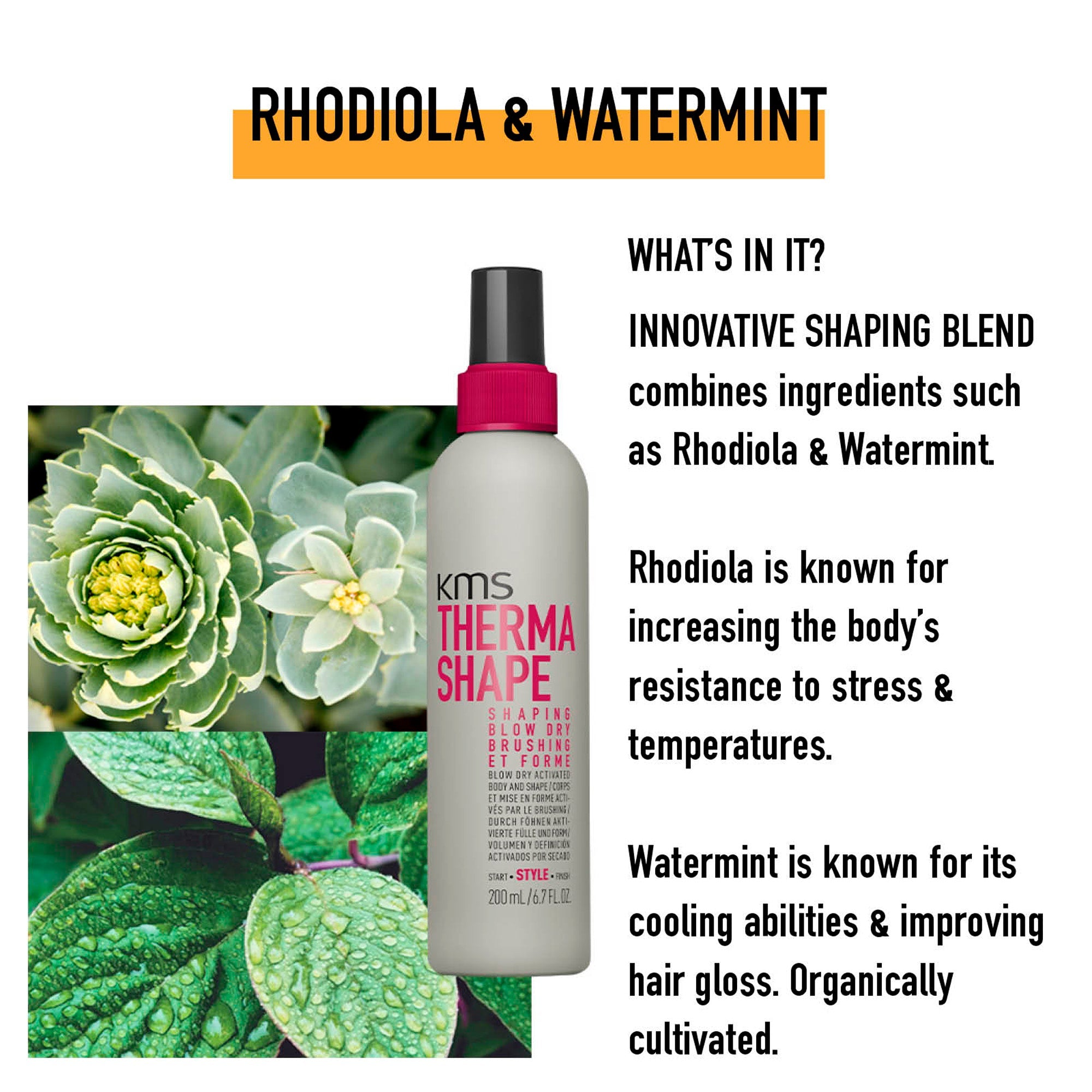 Shaping Blow Dry - Hair Care