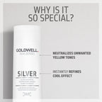 Silver Shampoo - Hair Care