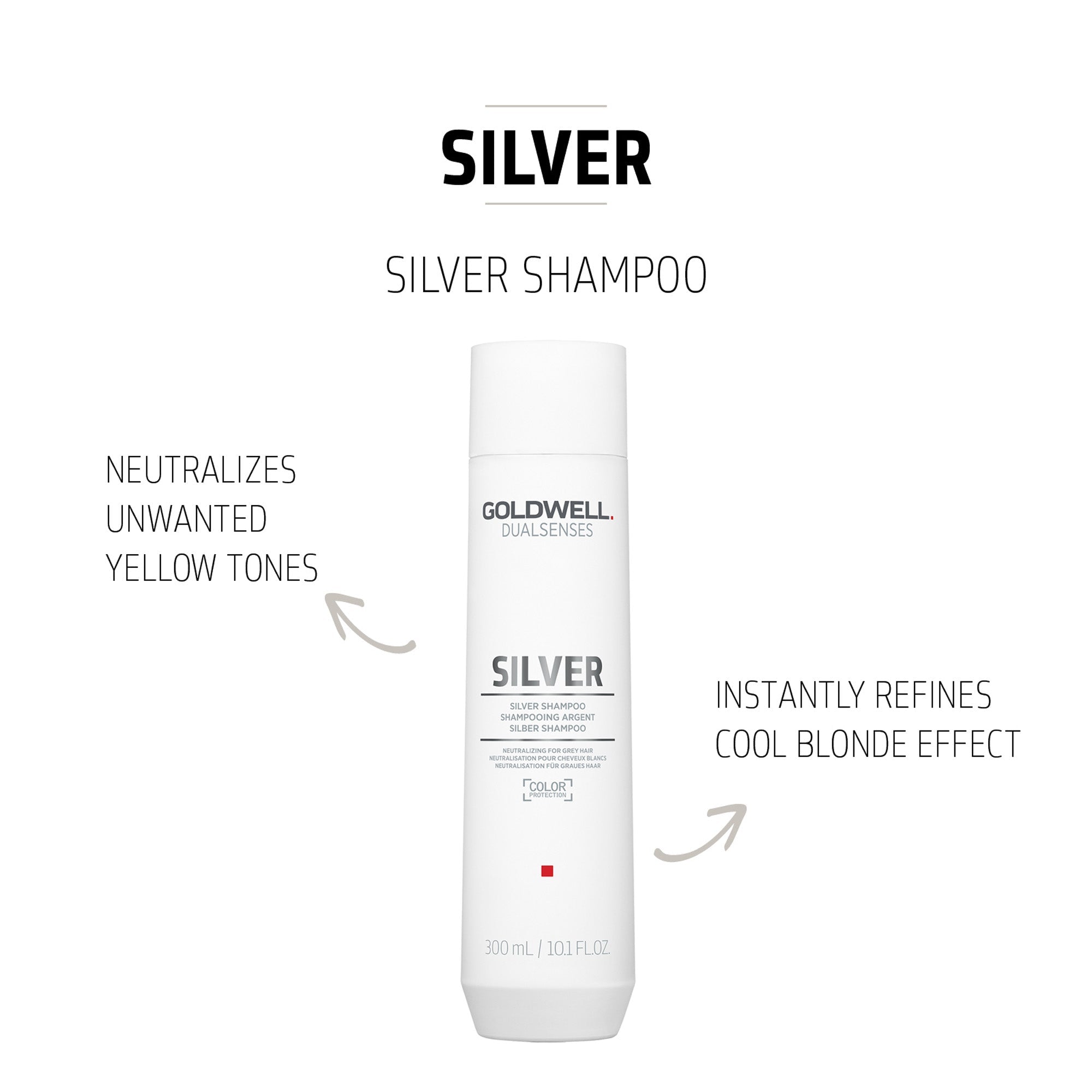 Silver Shampoo - Hair Care