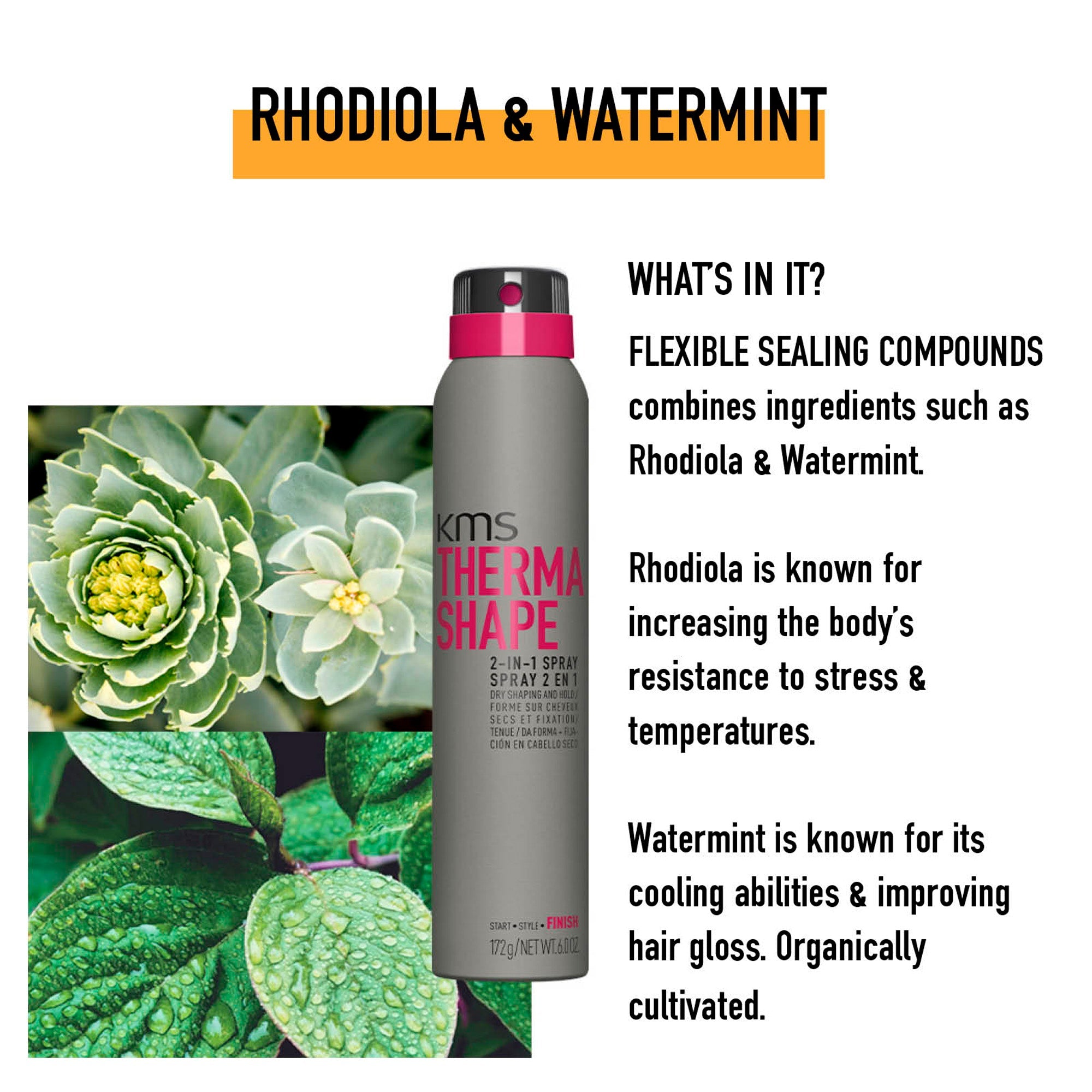 Starter Kit – Volume & Protect - Bundle