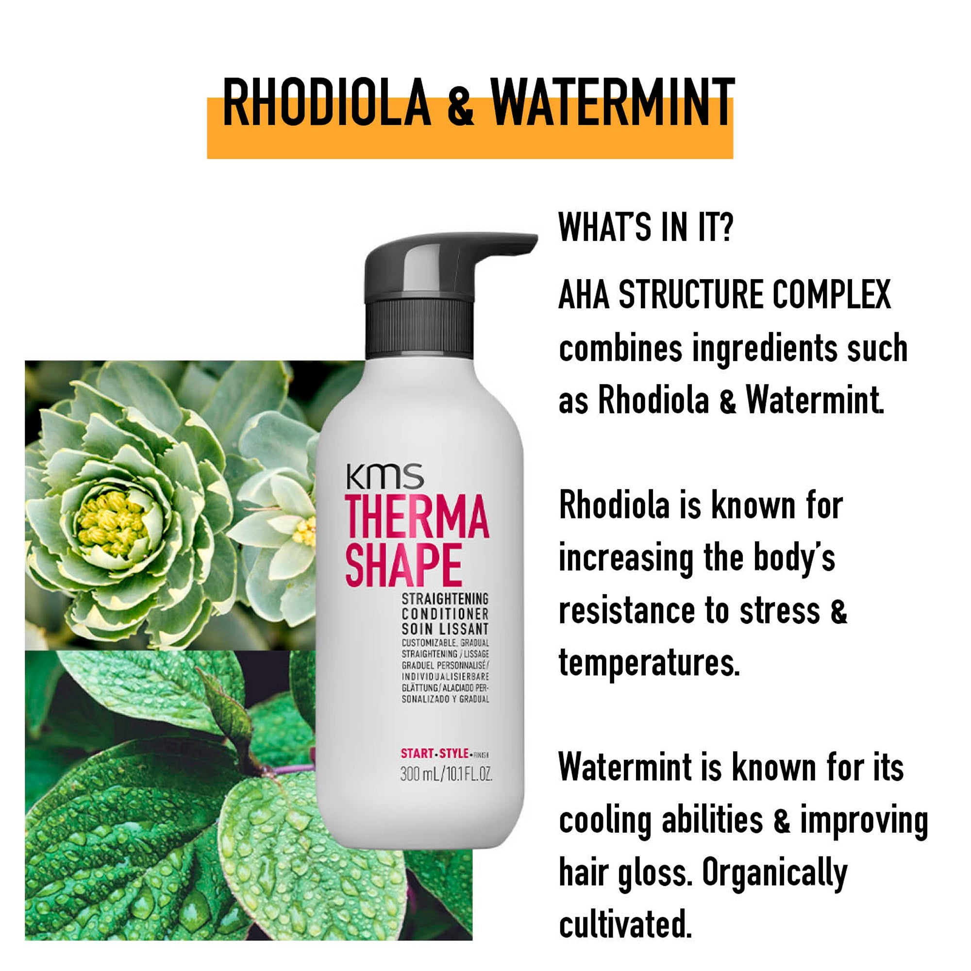 Straightening Conditioner - Hair Care