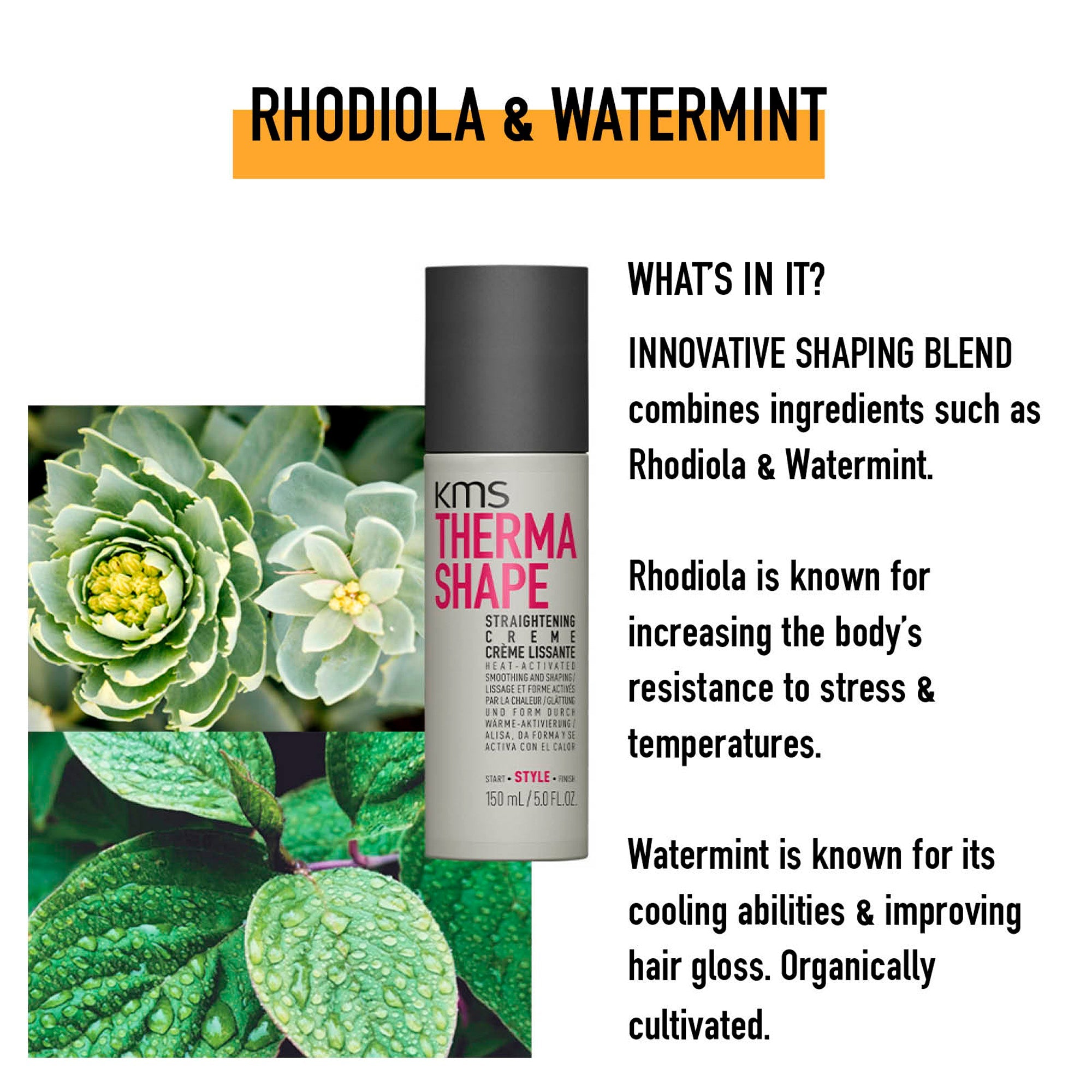 Straightening Creme - Hair Care